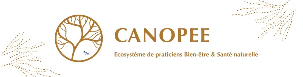 logo CANOPEE (3500 x 900 px) Canopée sélestat