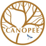 Canopée Sélestat espace partagé de thérapeutes holistiques médecines alternatives médecines douce