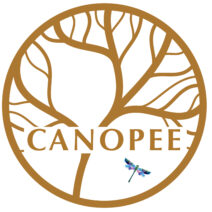 Canopée Sélestat lieu partager bien-être